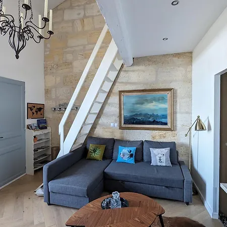 Appartement De Charme Sous Les Toits Avec Vue Sur La Garonne Bordeaux Exterior photo